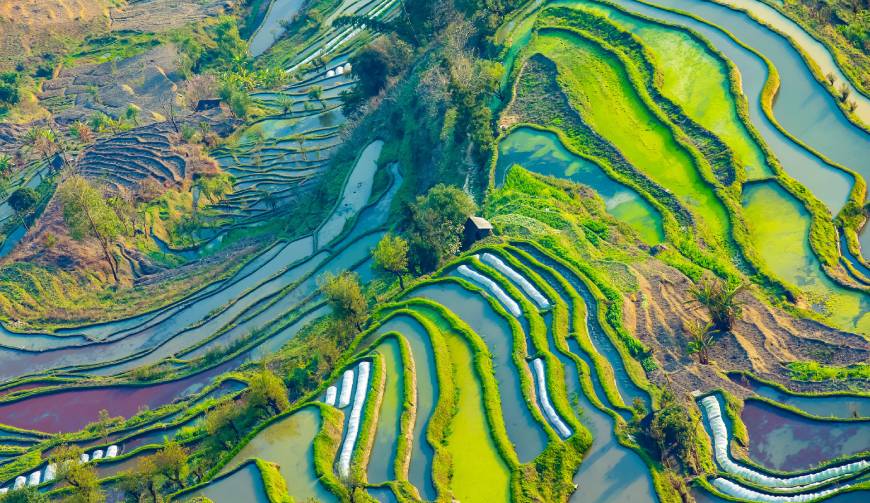 走进苍溪县TVC拍摄：解锁本地化场景与创意镜头的完美融合